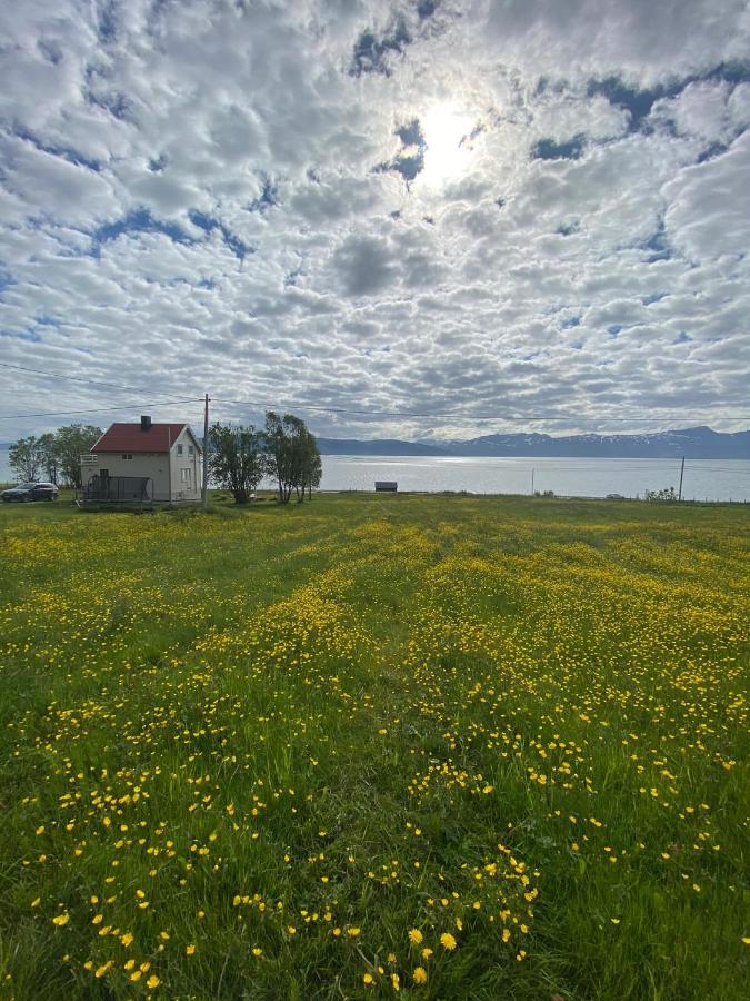 טרומסה Unique And Charming Holiday Home With Fantastic Sea Views מראה חיצוני תמונה